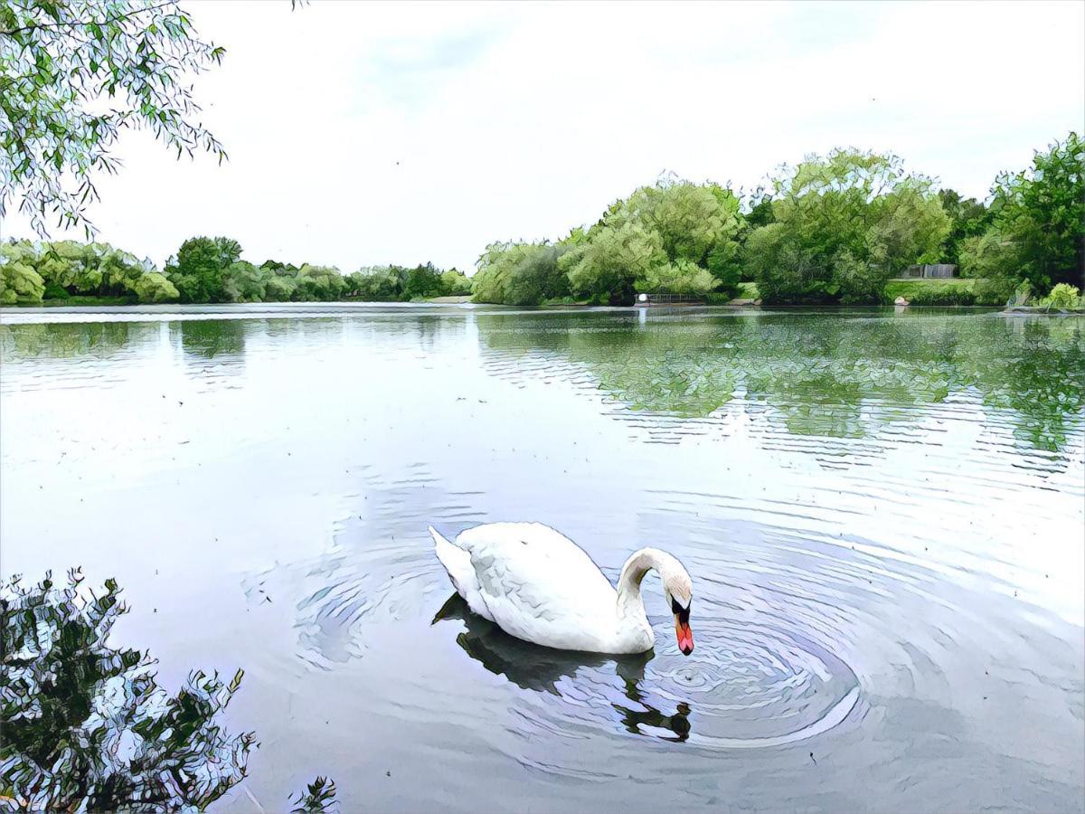 The Lake House, Woking Exteriör bild